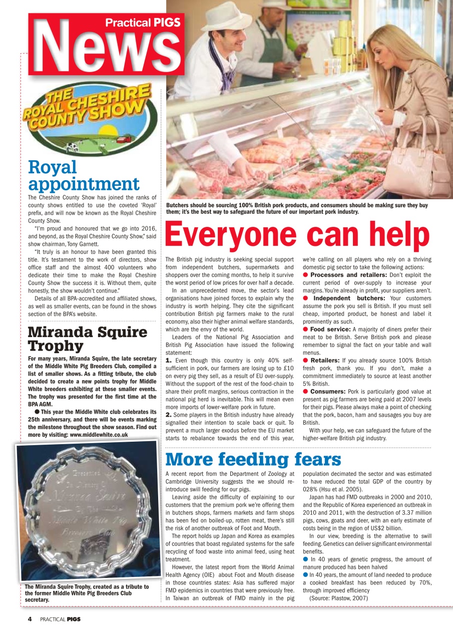 Practical Pigs Preview Pages