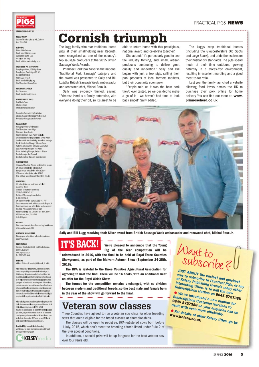 Practical Pigs Preview Pages