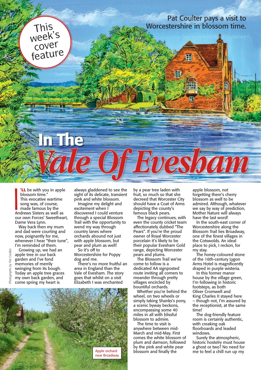 The People’s Friend Preview Pages