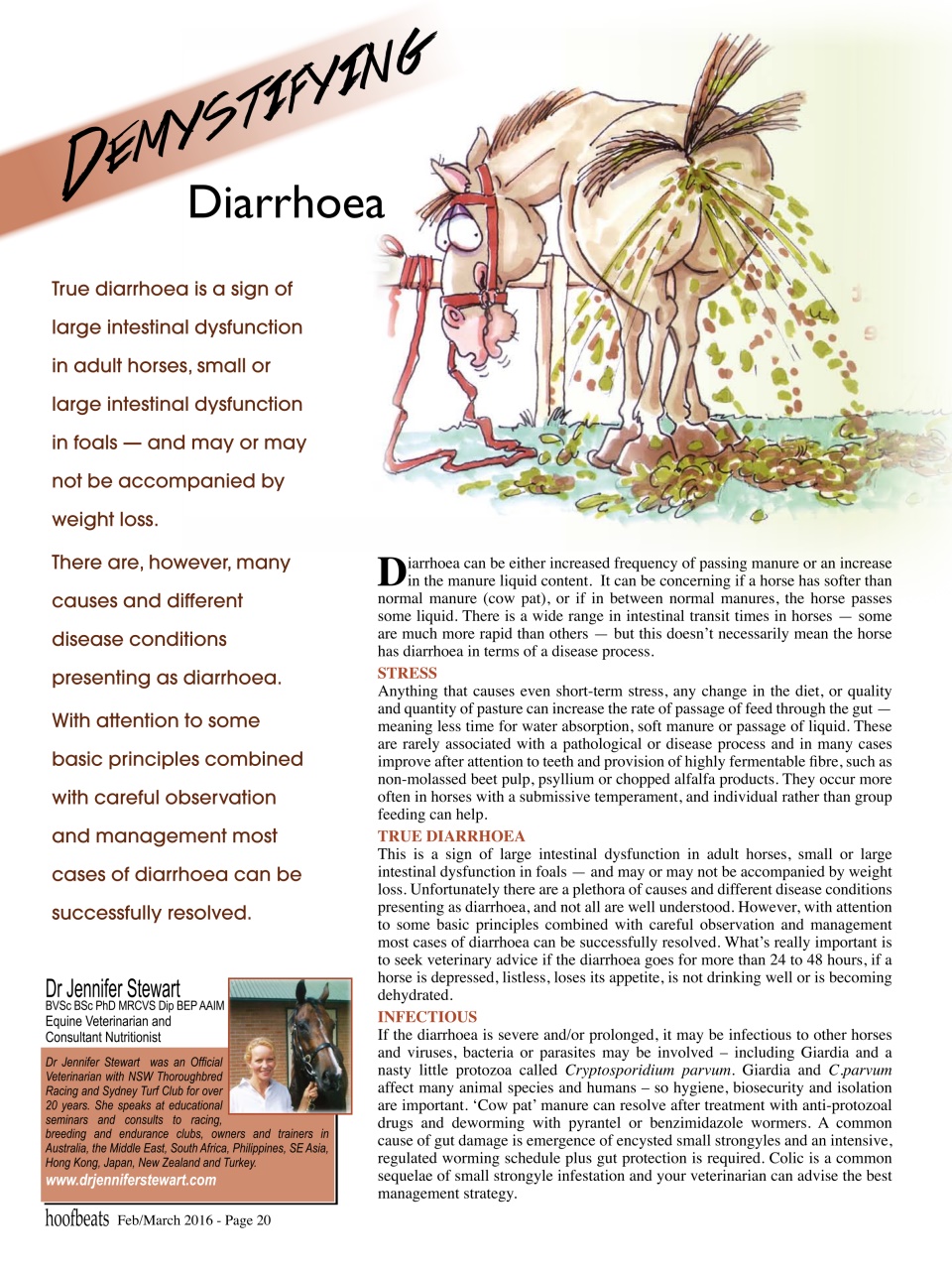 Hoofbeats Preview Pages