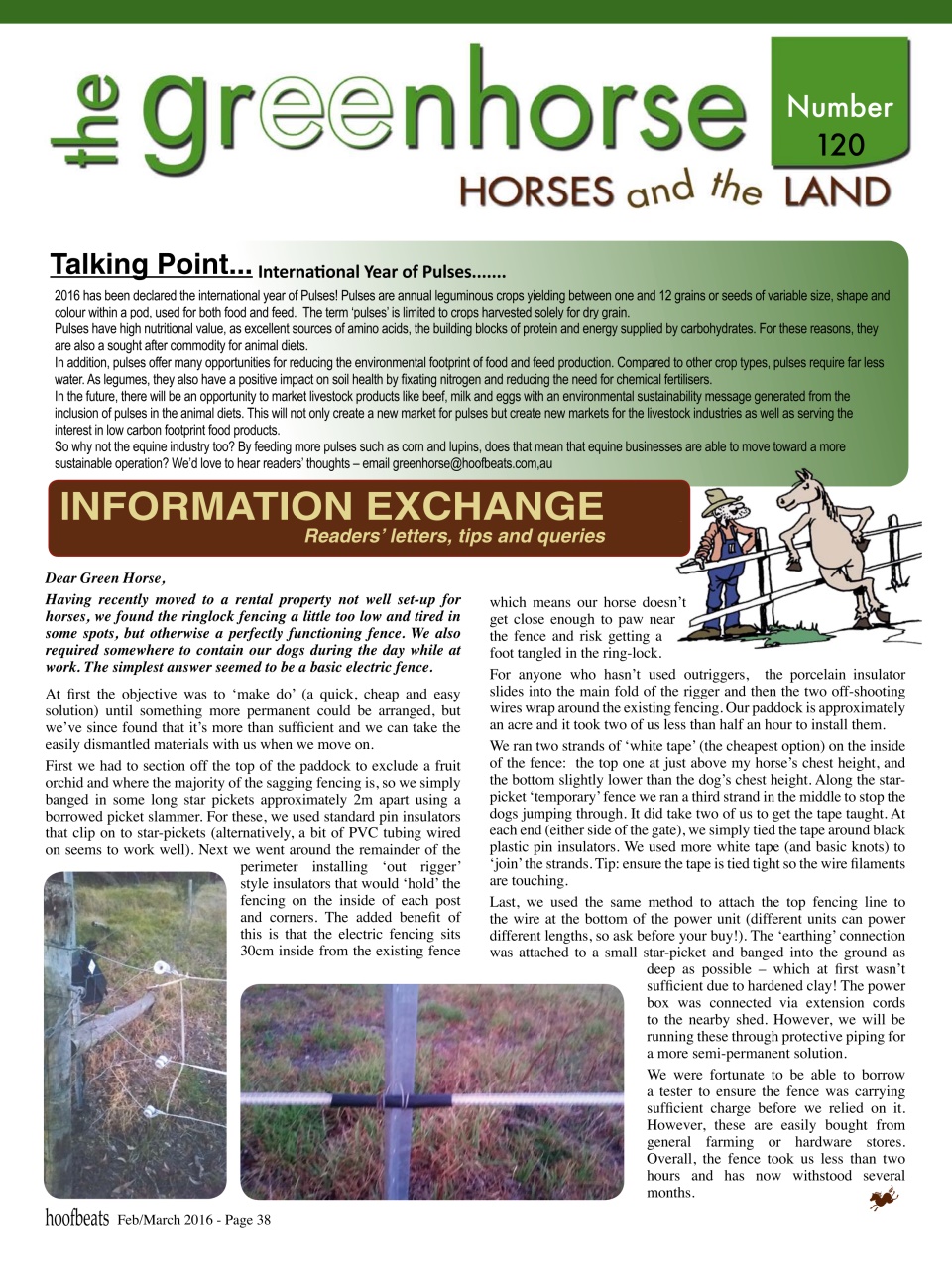 Hoofbeats Preview Pages