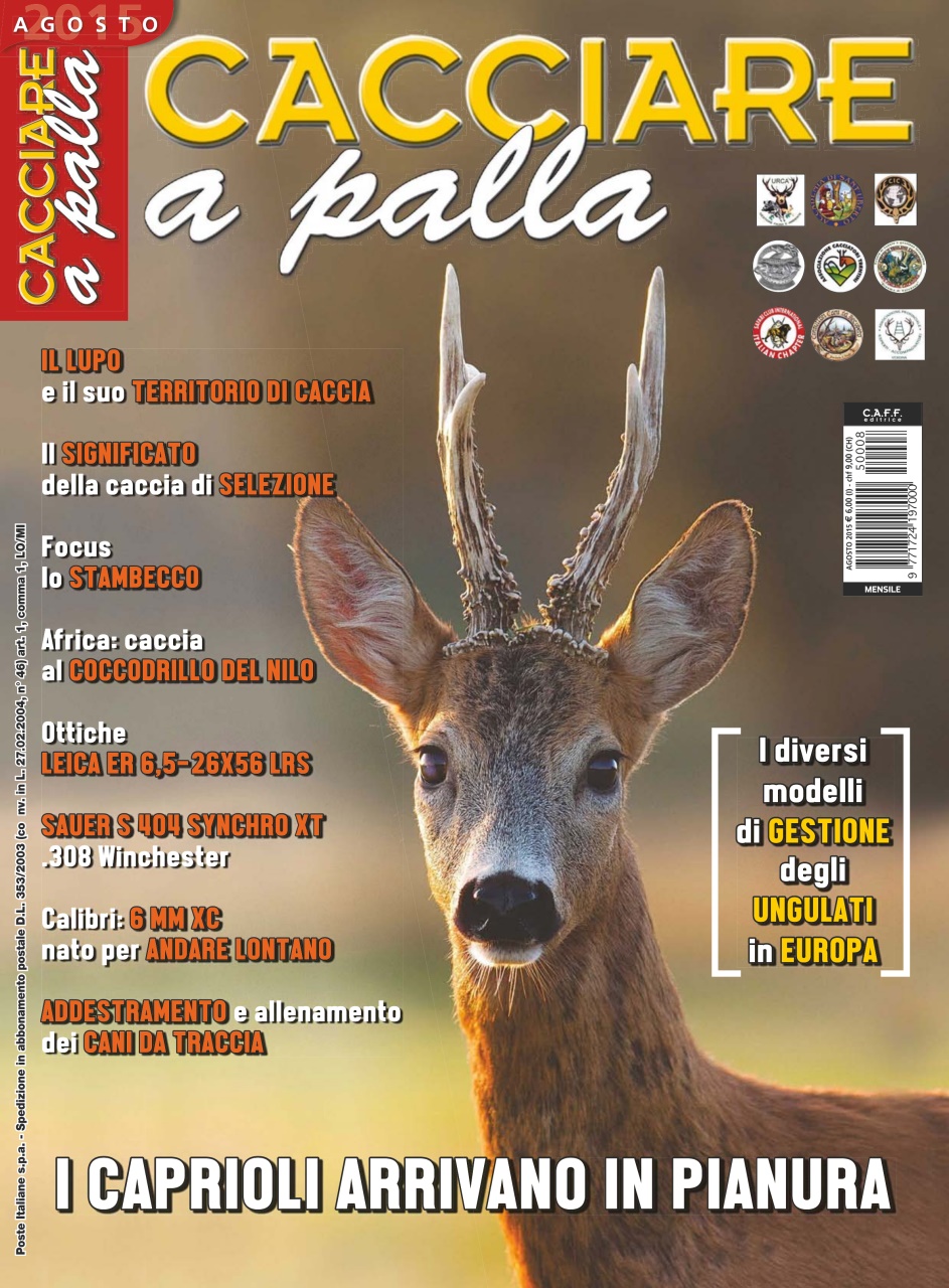 Caccia Magazine Preview Pages