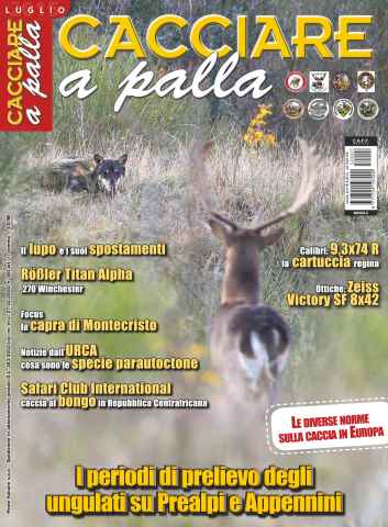 Caccia Magazine issue CACCIARE A PALLA LUGLIO 2015