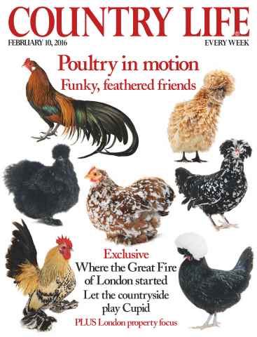 Country Life issue 10th February 2016