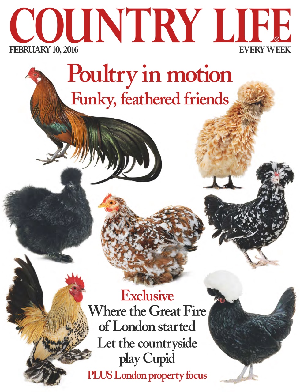 Country Life Preview Pages