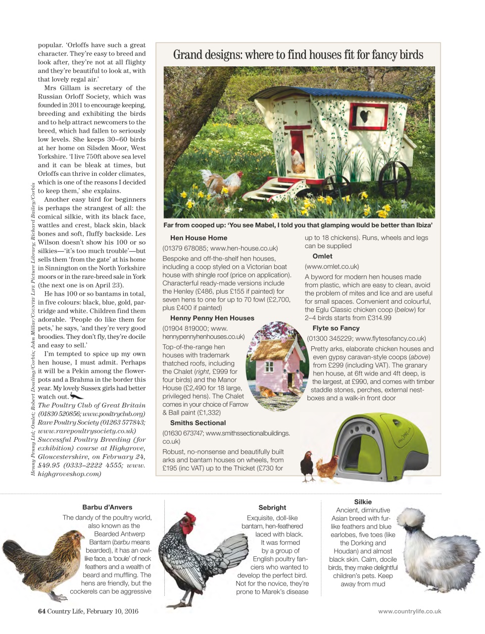 Country Life Preview Pages