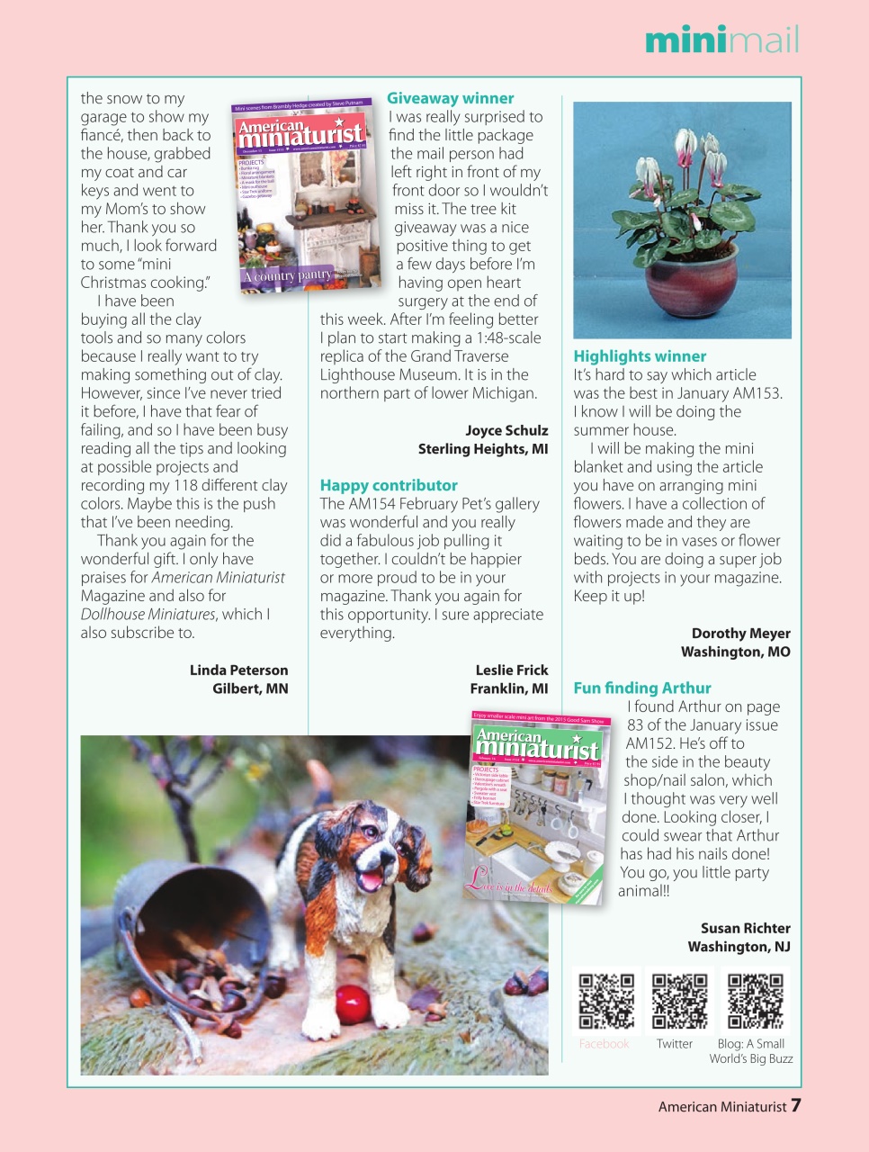 American Miniaturist Preview Pages