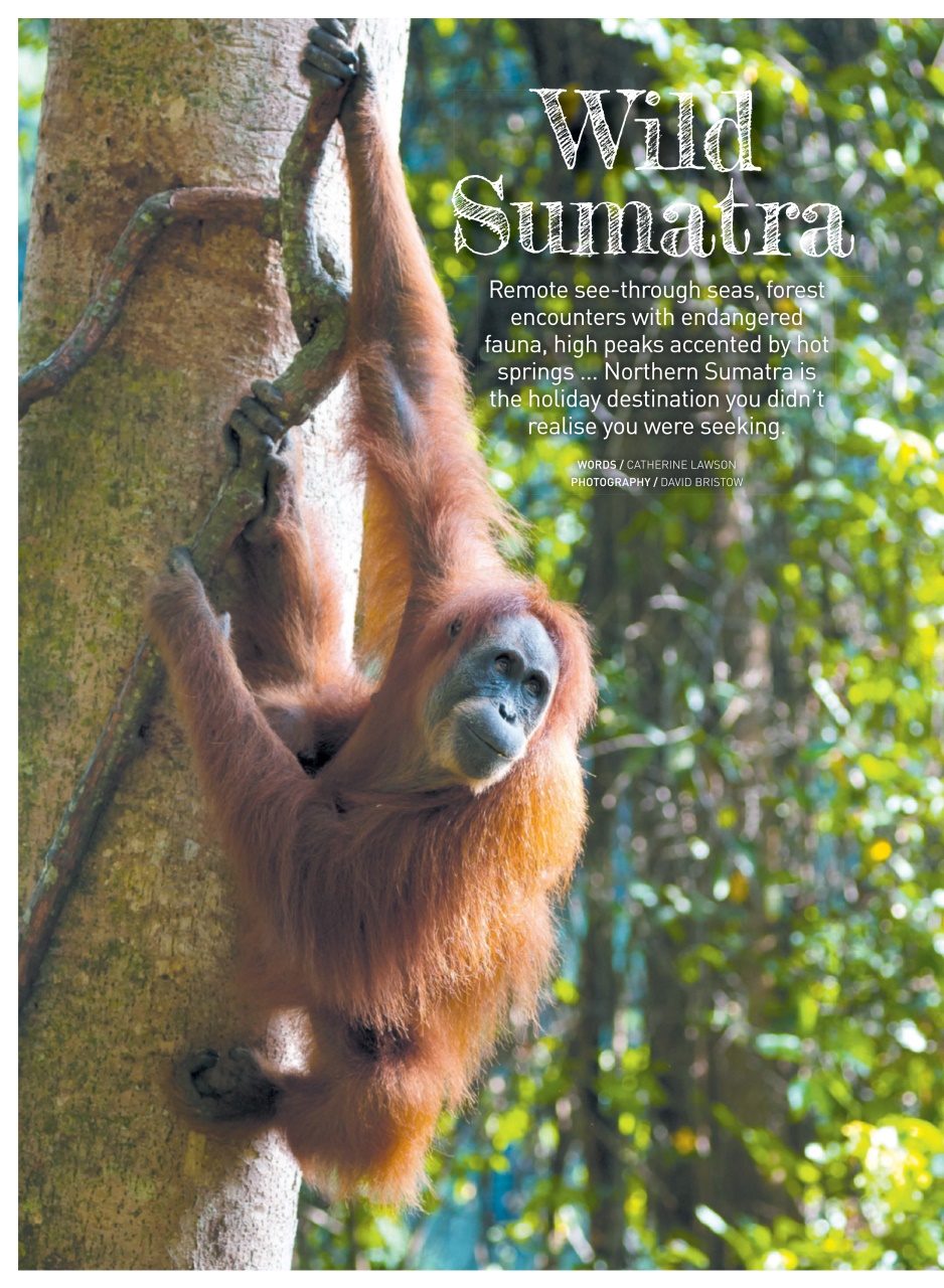 WellBeing Preview Pages