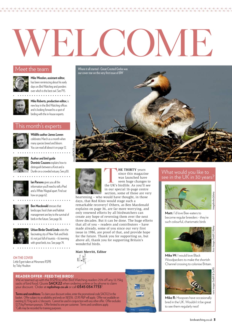 Bird Watching Preview Pages