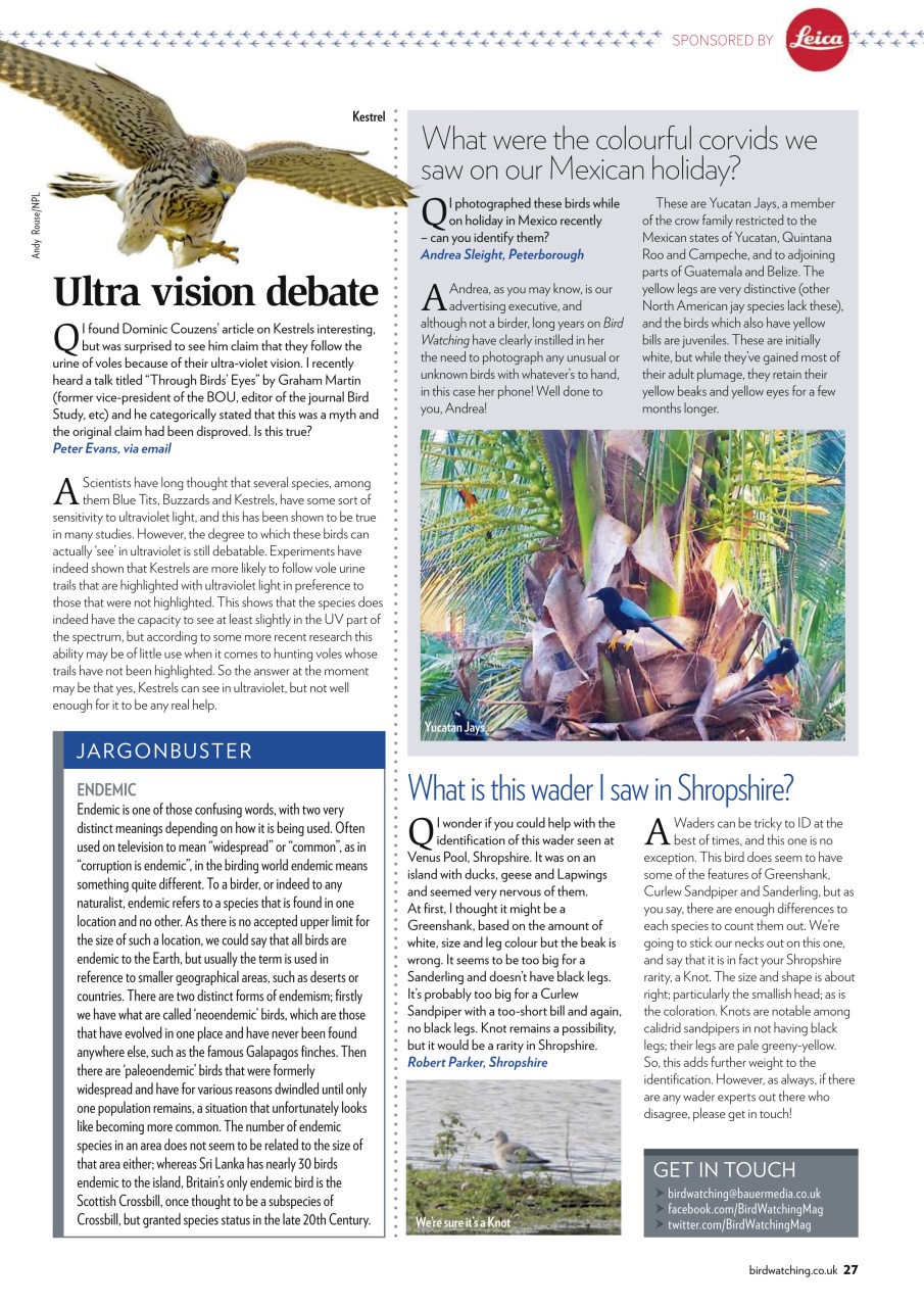 Bird Watching Preview Pages