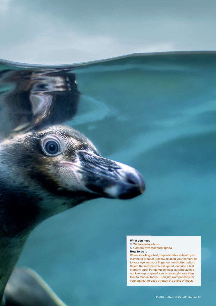 Practical Photography Preview Pages