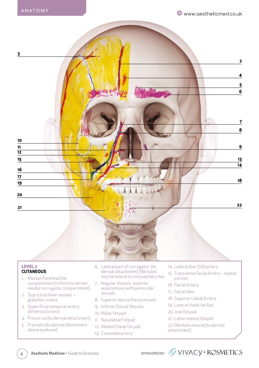 Aesthetic Medicine Preview Pages