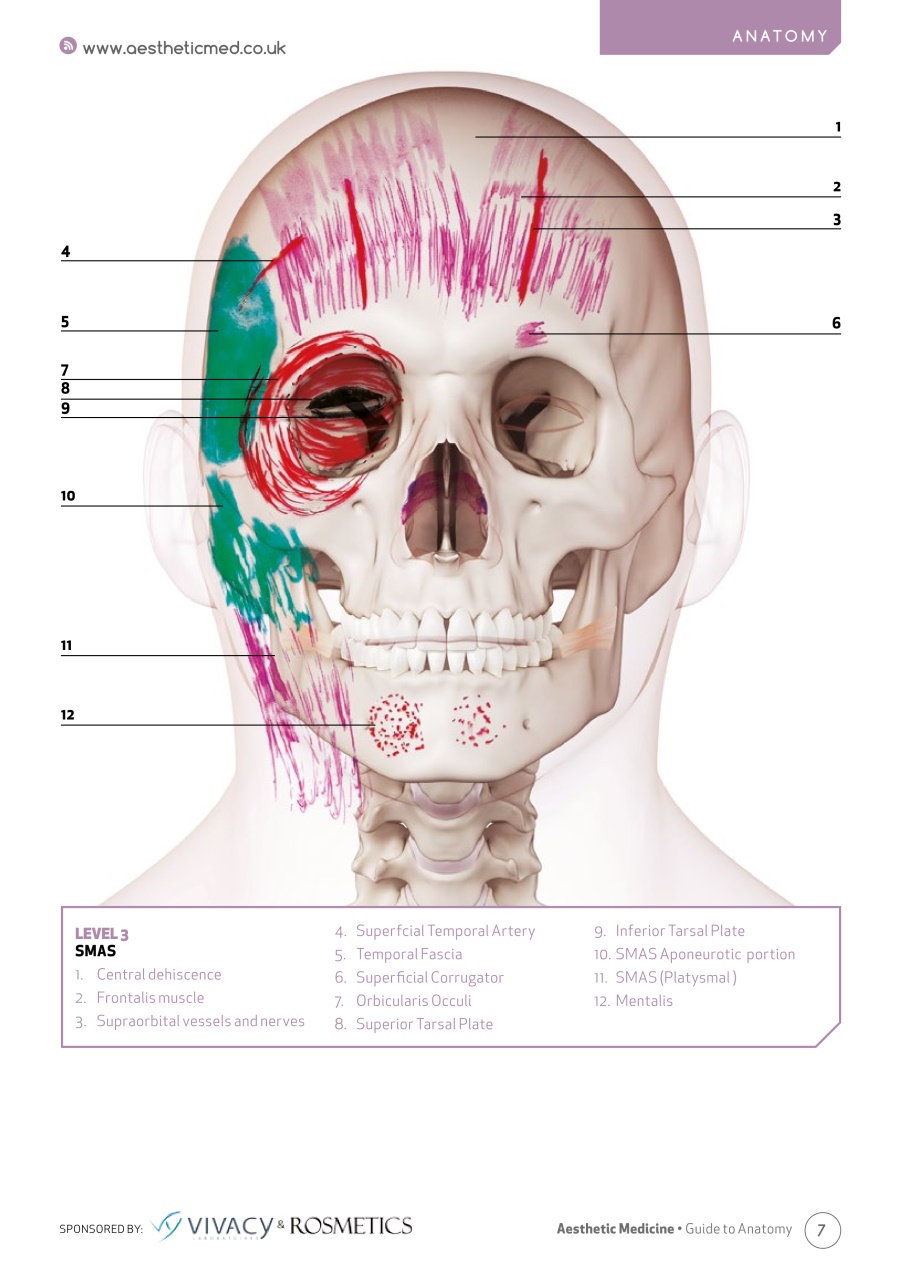 Aesthetic Medicine Preview Pages