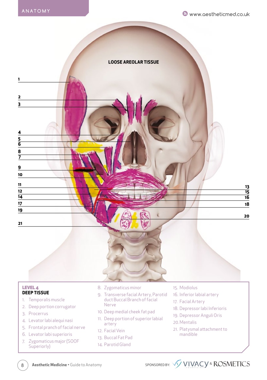 Aesthetic Medicine Preview Pages