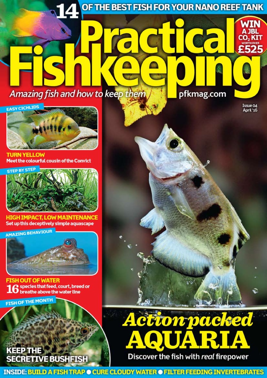 Practical Fishkeeping Preview Pages