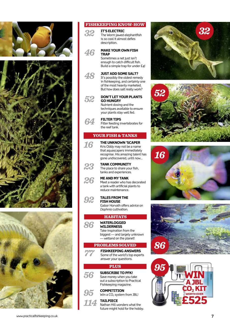 Practical Fishkeeping Preview Pages
