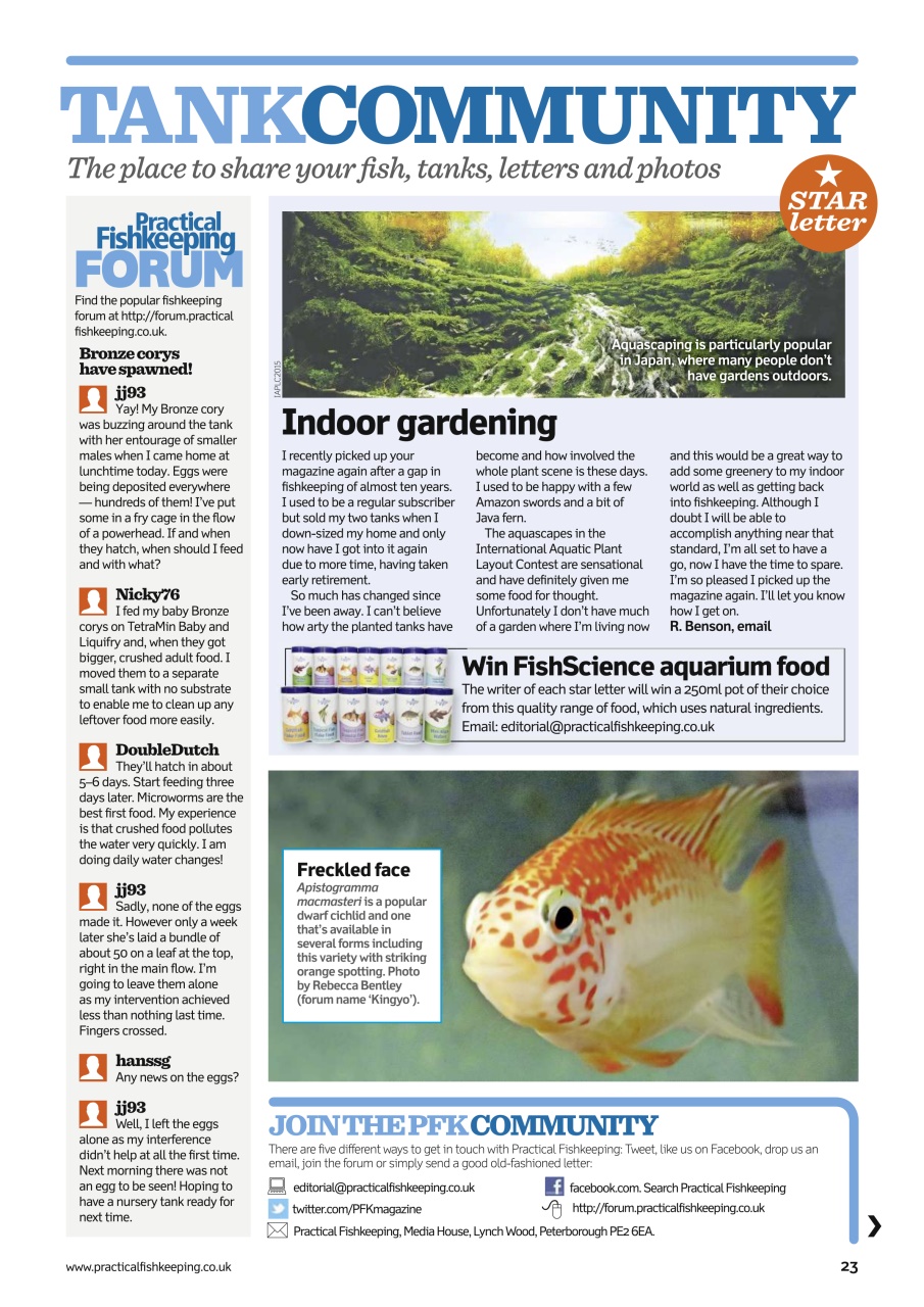 Practical Fishkeeping Preview Pages