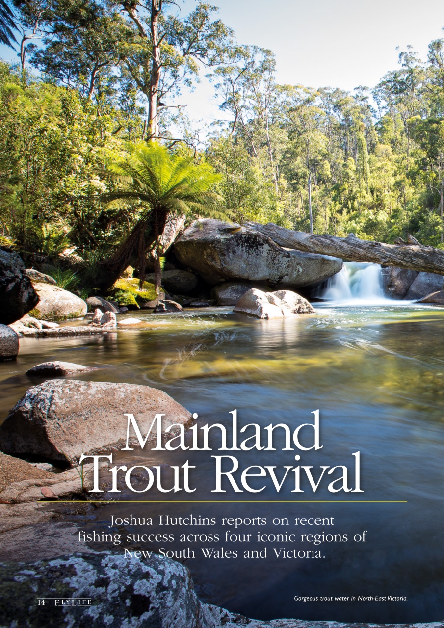 FlyLife Preview Pages