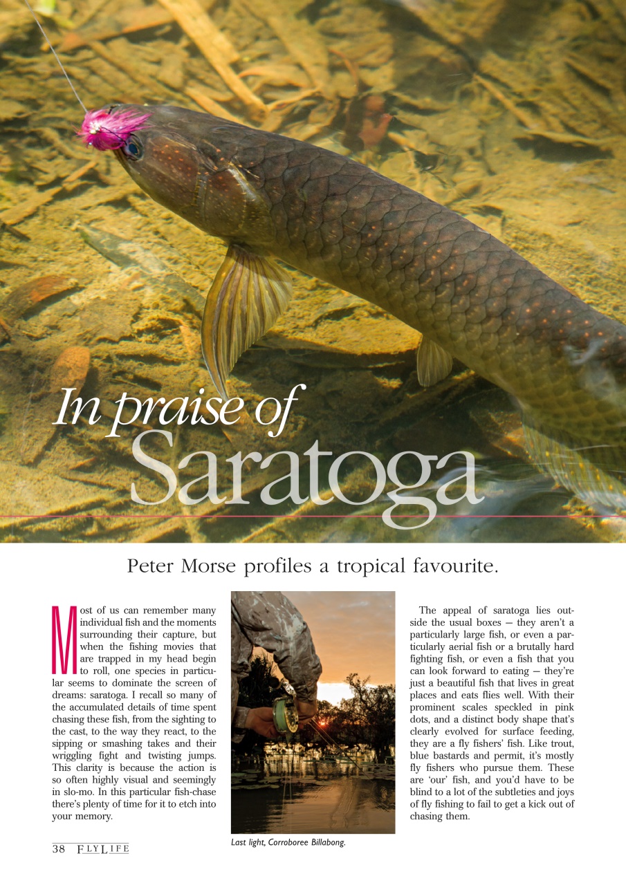 FlyLife Preview Pages