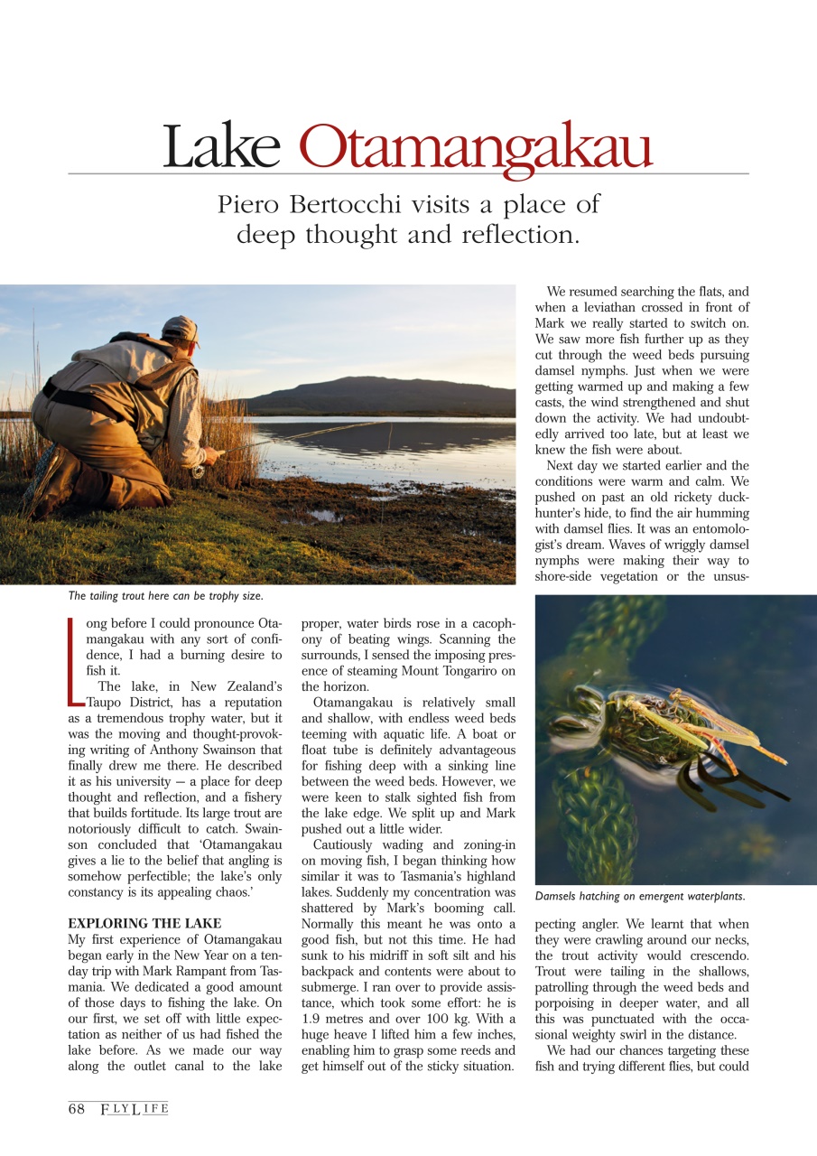 FlyLife Preview Pages