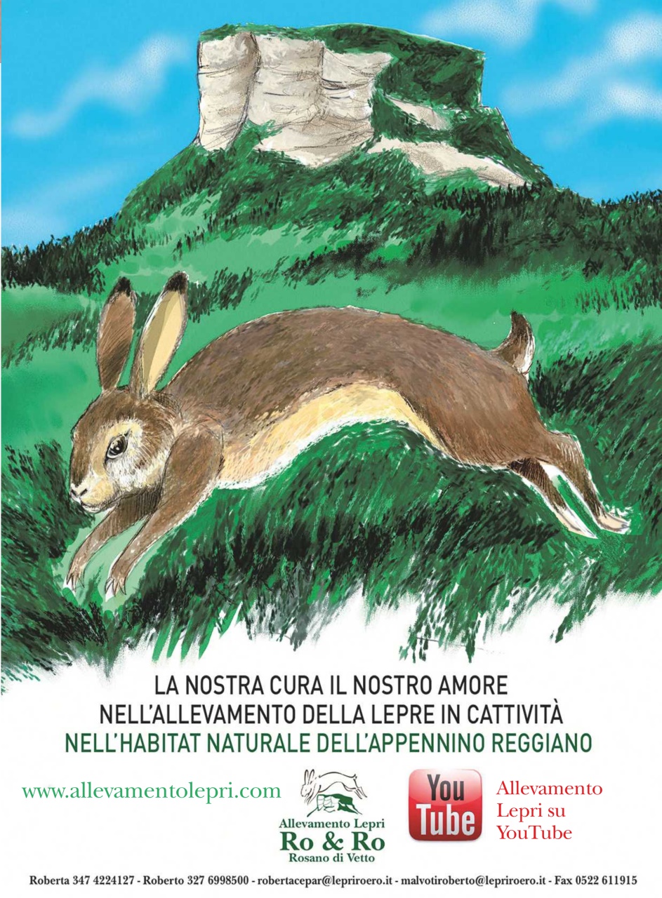 SENTIERI DI CACCIA Preview Pages