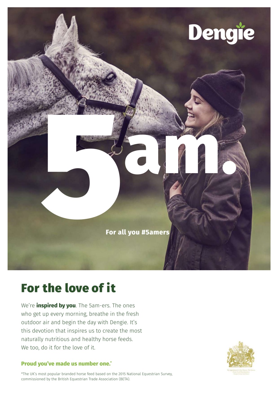 Your Horse Preview Pages