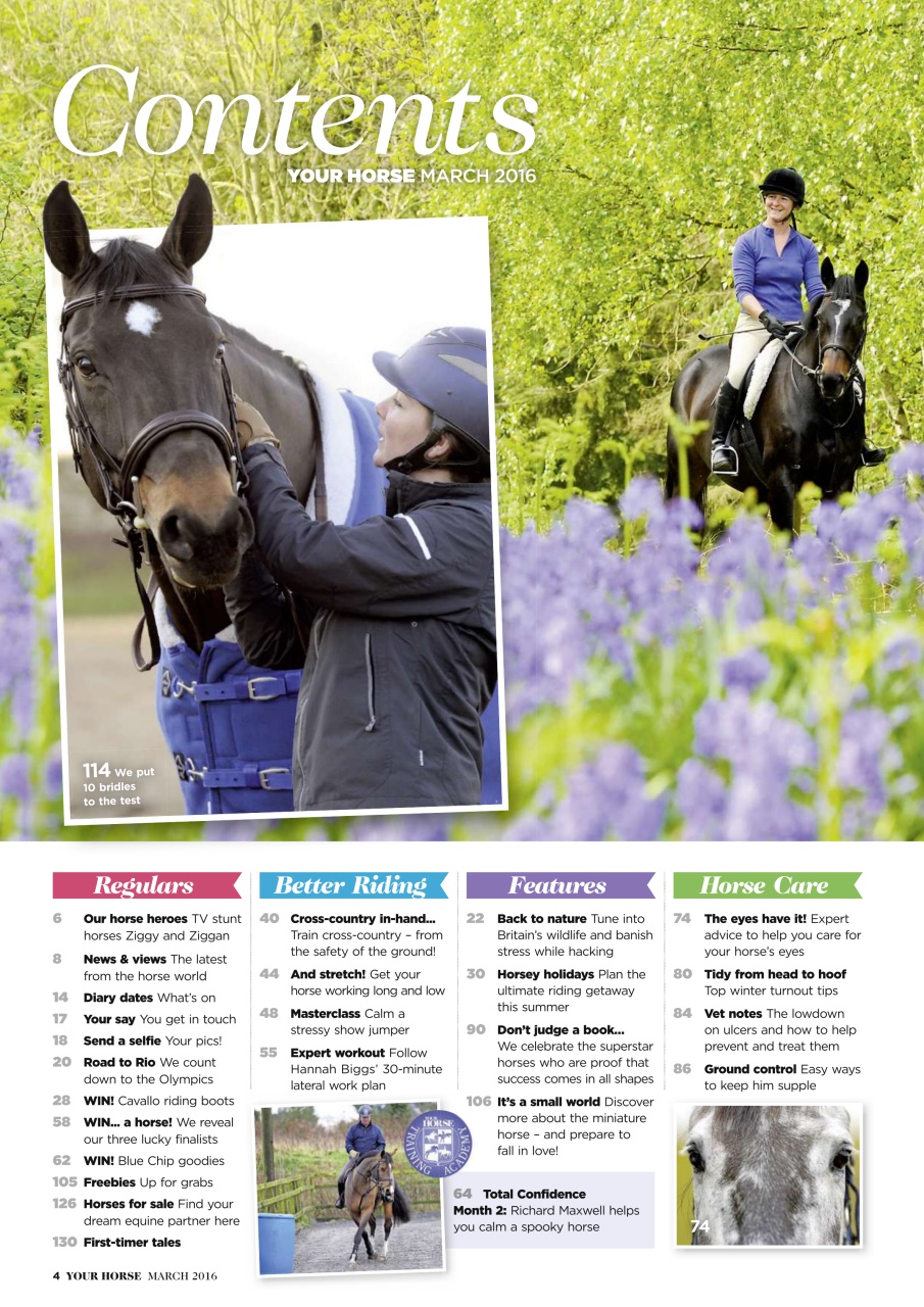 Your Horse Preview Pages