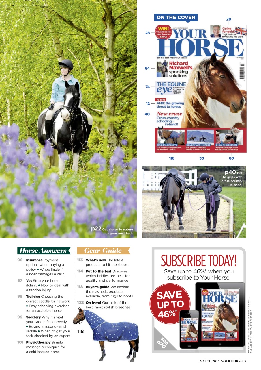 Your Horse Preview Pages