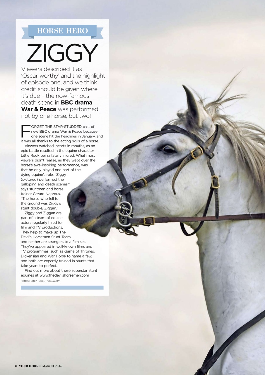 Your Horse Preview Pages