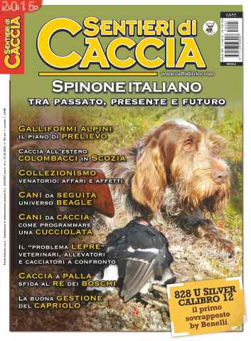 SENTIERI DI CACCIA issue SENTIERI DI CACCIA LUGLIO 2015