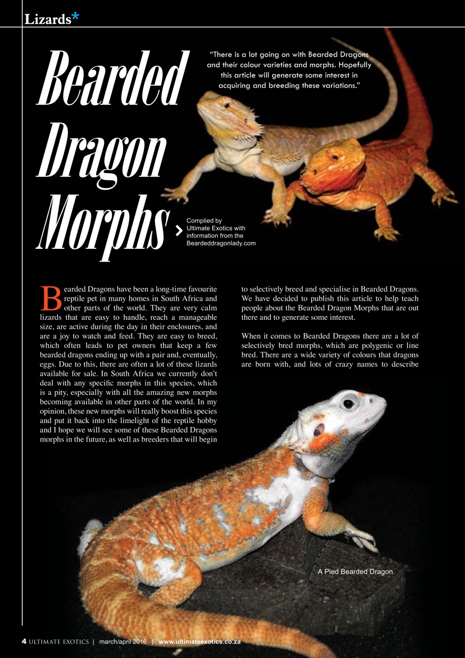 Ultimate Exotics Preview Pages