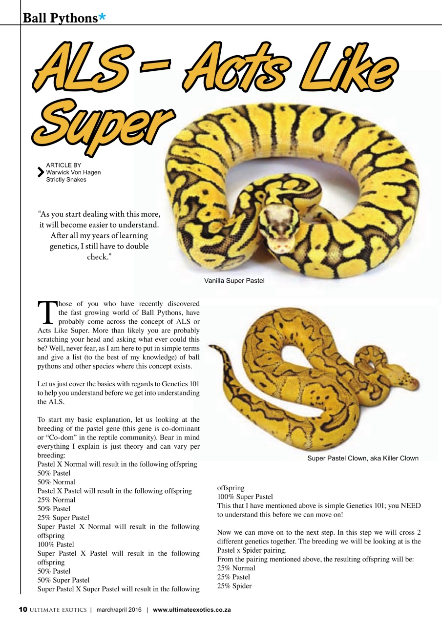 Ultimate Exotics Preview Pages