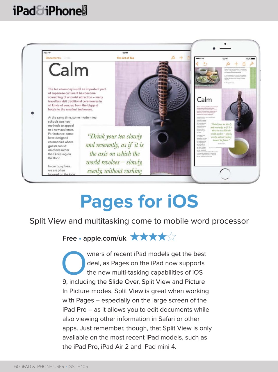 iPad and iPhone User Preview Pages