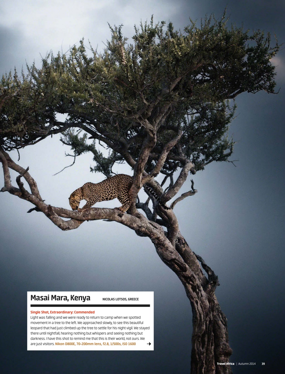 Travel Africa Preview Pages