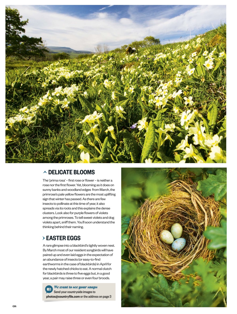 BBC Countryfile Magazine Preview Pages