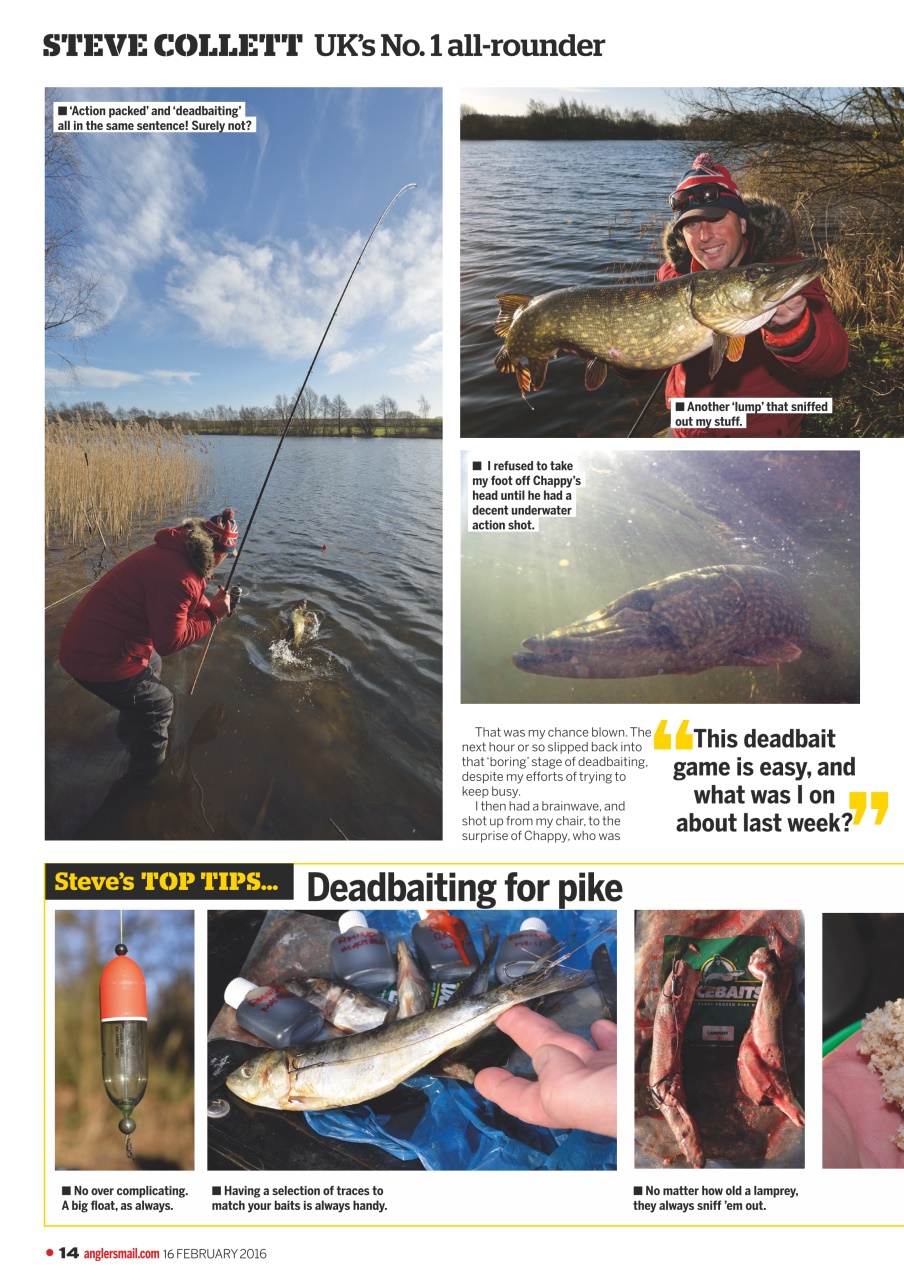 Anglers Mail Preview Pages