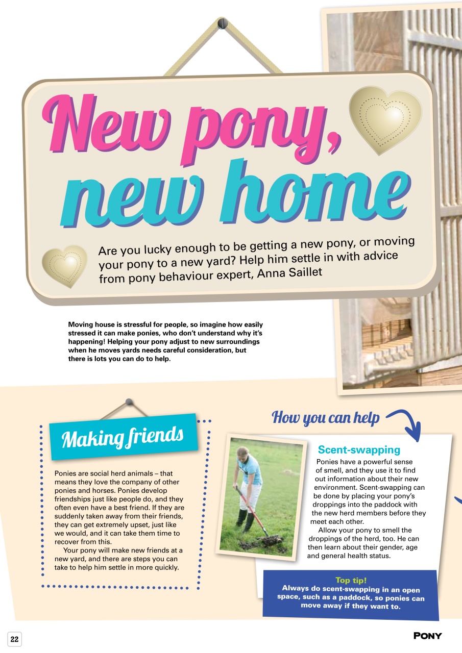 Pony Magazine Preview Pages