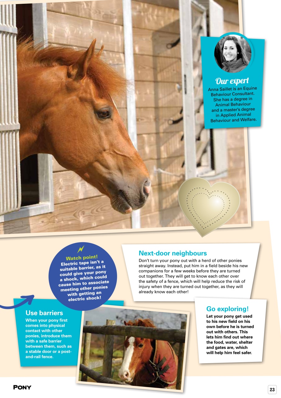 Pony Magazine Preview Pages