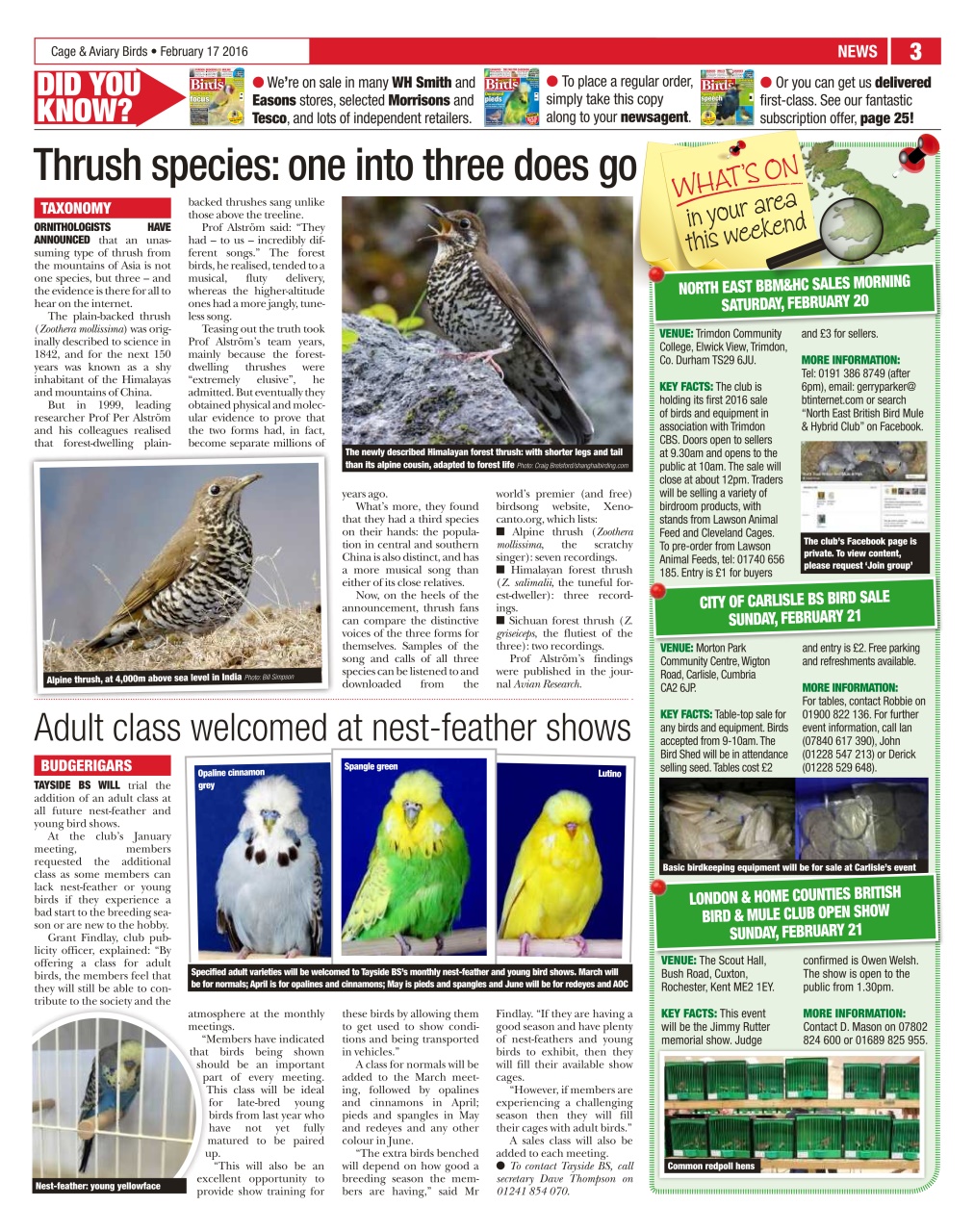 Cage & Aviary Birds Preview Pages