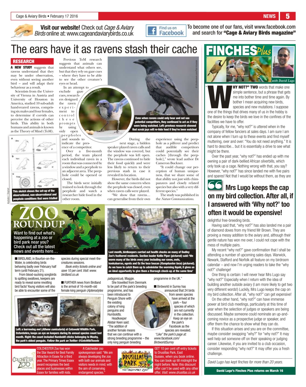 Cage & Aviary Birds Preview Pages