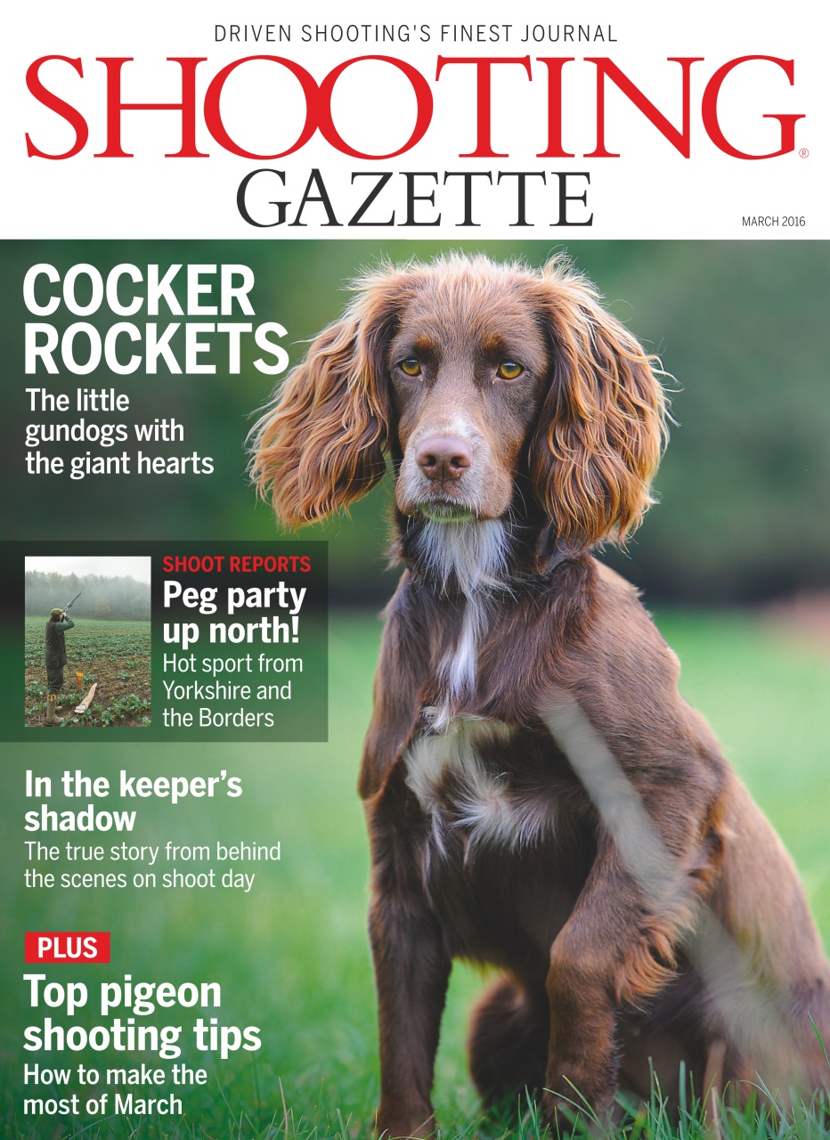 Shooting Gazette Preview Pages