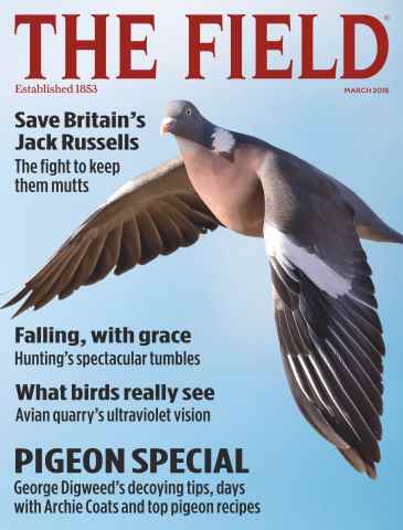 The Field issue March 2016