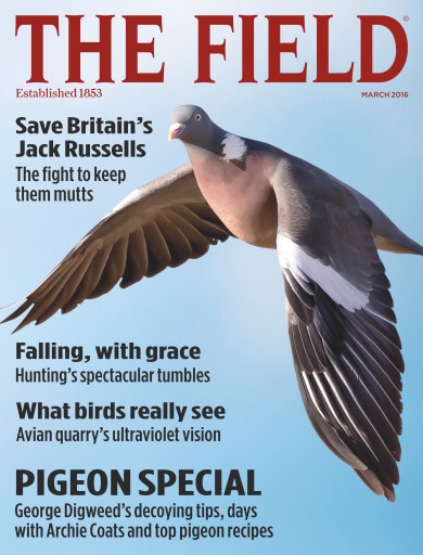 The Field issue 