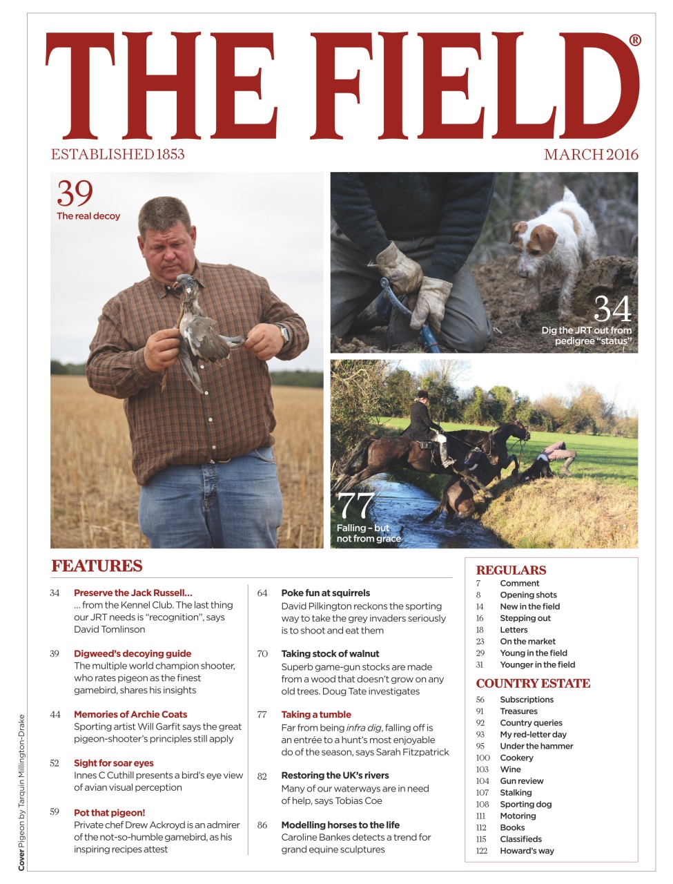 The Field Preview Pages