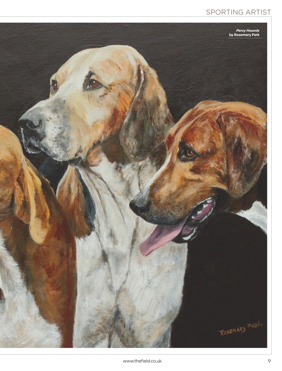 The Field Preview Pages