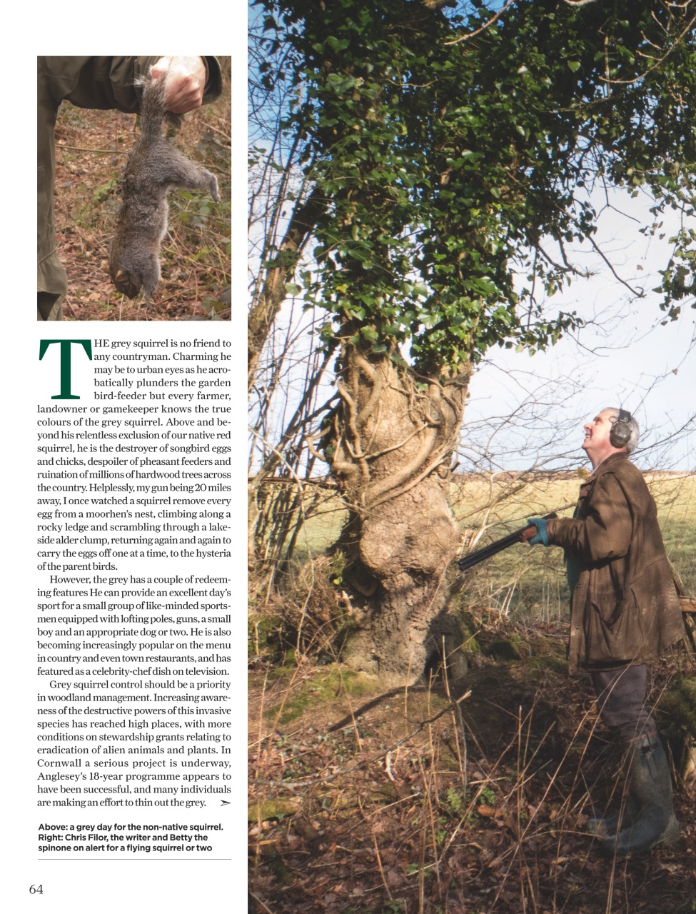 The Field Preview Pages