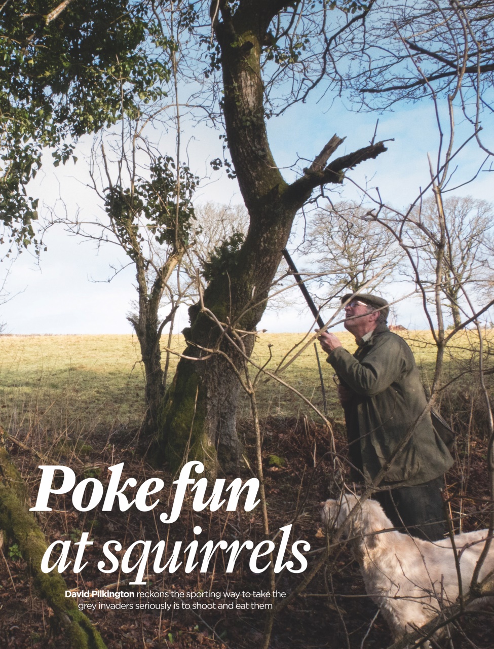 The Field Preview Pages