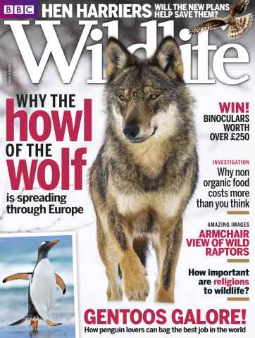 BBC Wildlife Magazine issue March 2016