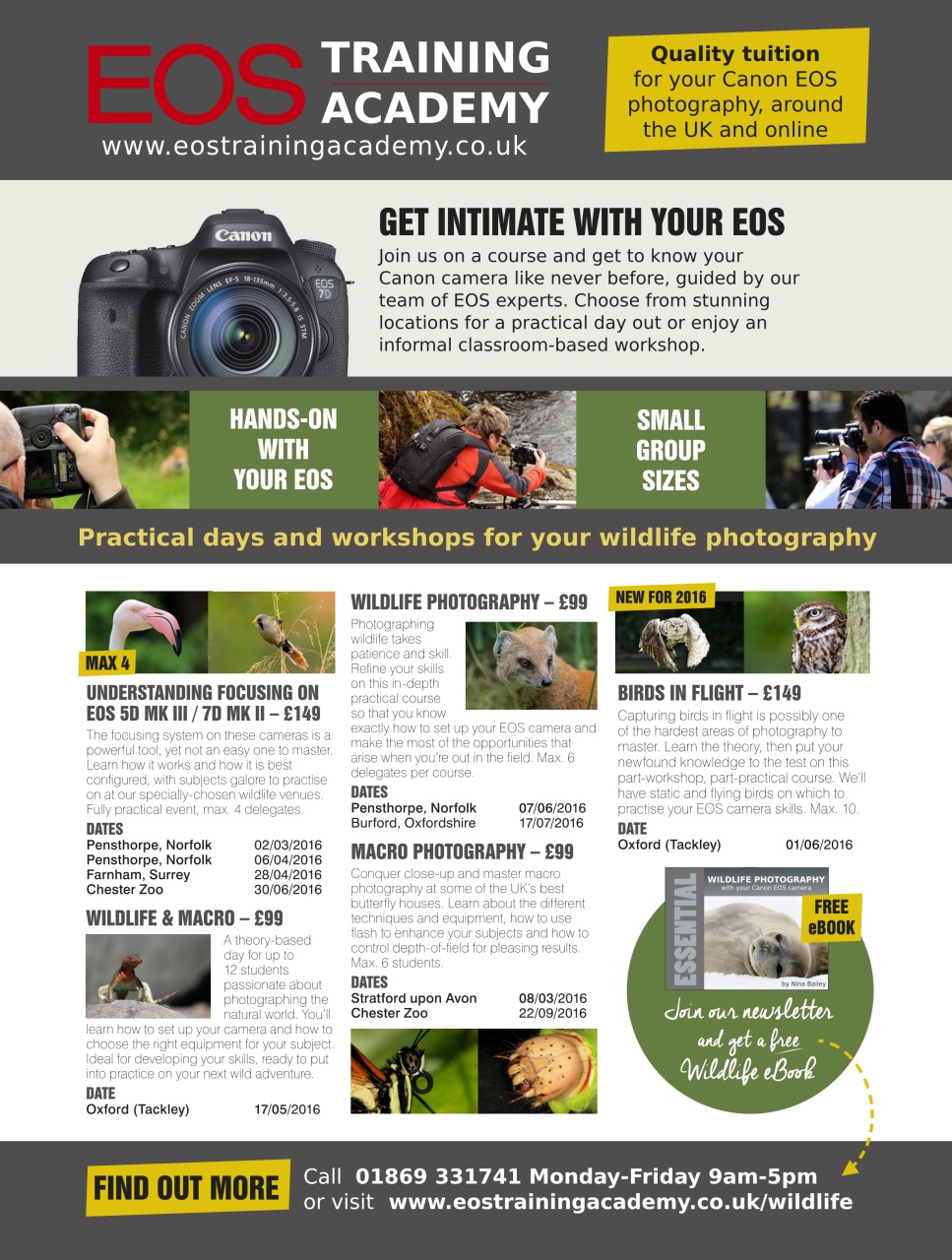 BBC Wildlife Magazine Preview Pages