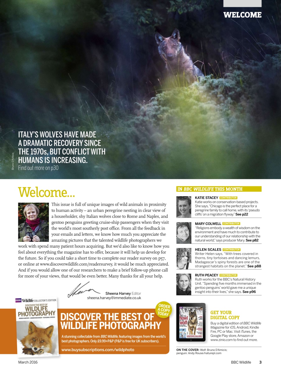 BBC Wildlife Magazine Preview Pages